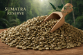 Sumatra Green Coffee Beans